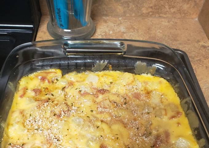 cheesey ham and potato casserole recipe main photo