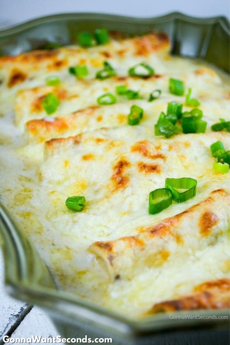 recipe of award winning white sauce enchiladas