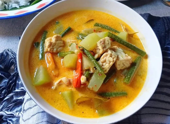 resep sayur lodeh kacang panjang