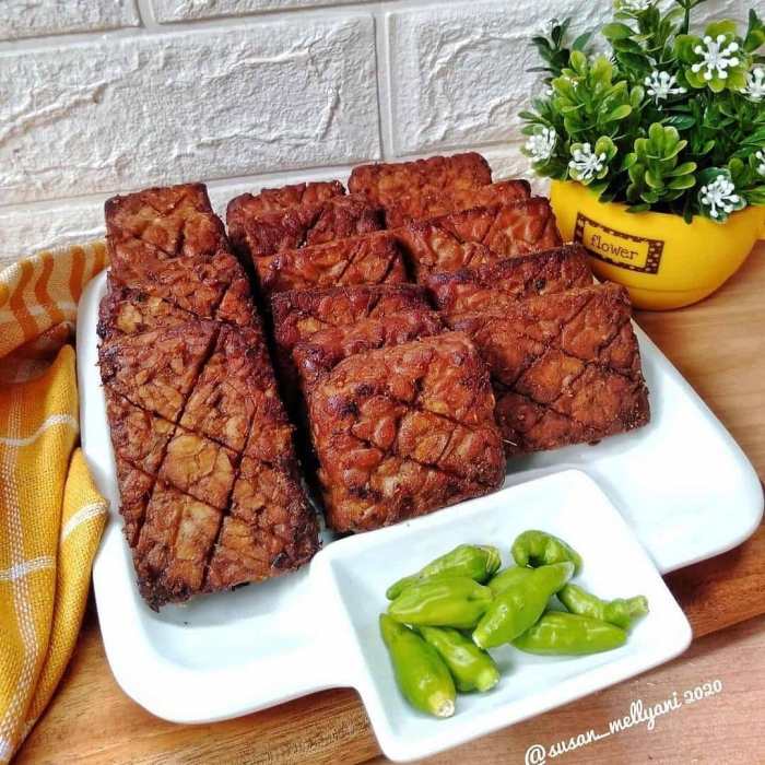 10 resep olahan tempe