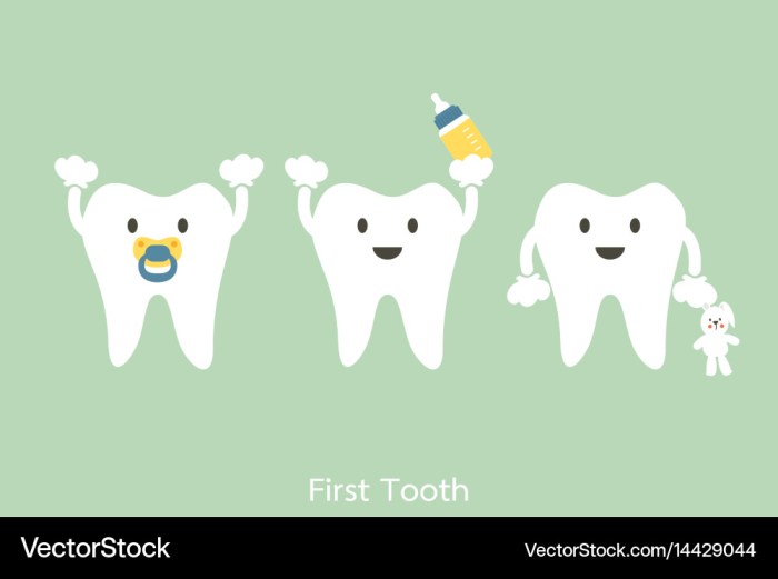 Teeth brush child first tooth 123dentist baby